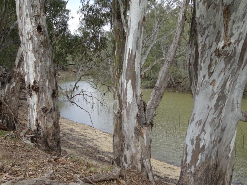 Lot 99 Old Barmah Road, Moama NSW 2731
