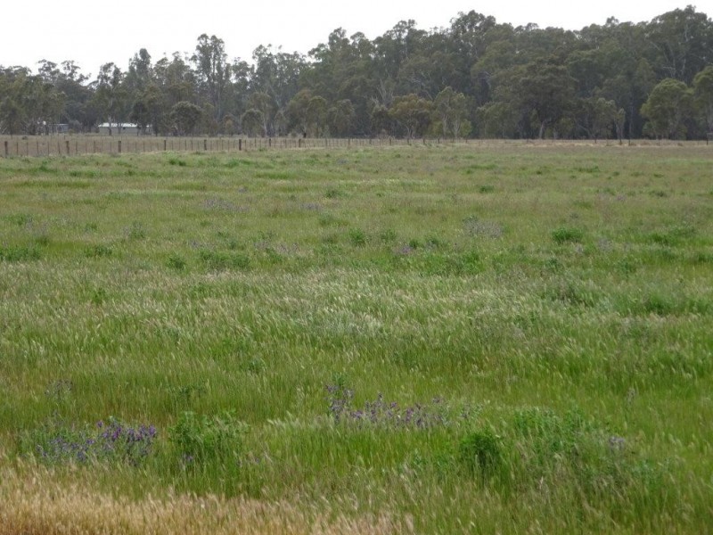 Lot 99 Old Barmah Road, Moama NSW 2731