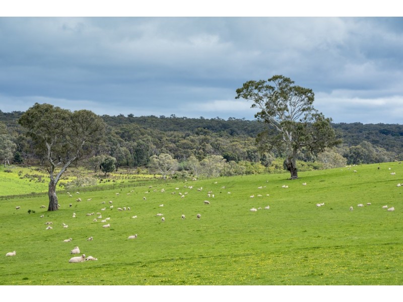 3320 Casterton-Edenhope Road, Chetwynd VIC 3312