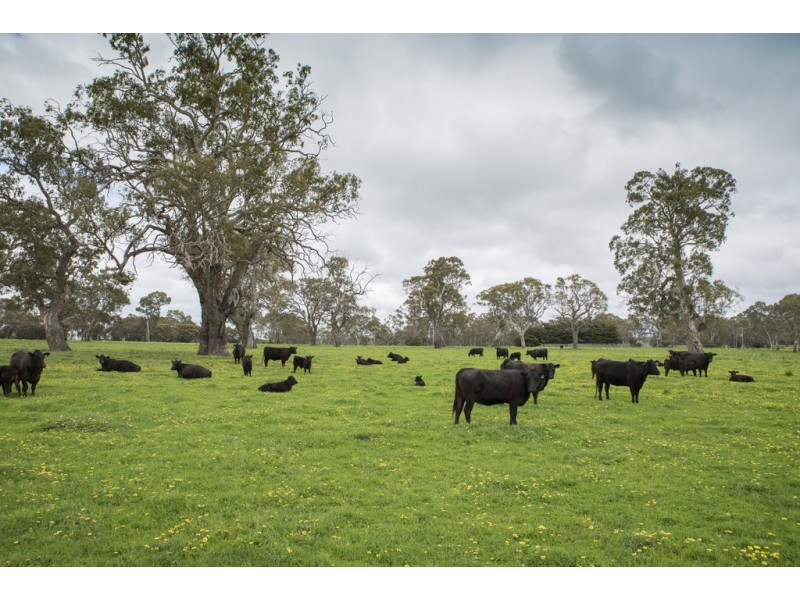 3320 Casterton-Edenhope Road, Chetwynd VIC 3312