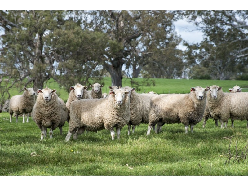 3320 Casterton-Edenhope Road, Chetwynd VIC 3312