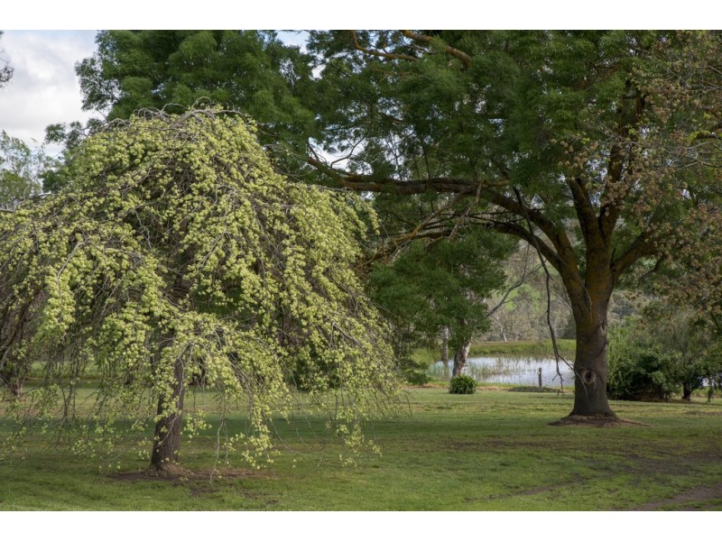 3320 Casterton-Edenhope Road, Chetwynd VIC 3312