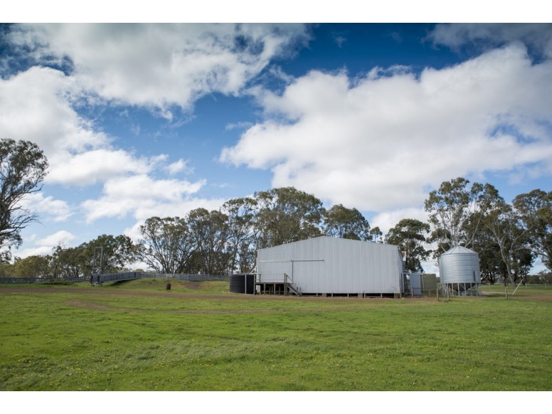 3320 Casterton-Edenhope Road, Chetwynd VIC 3312