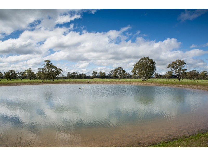 3320 Casterton-Edenhope Road, Chetwynd VIC 3312