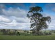 3320 Casterton-Edenhope Road, Chetwynd VIC 3312