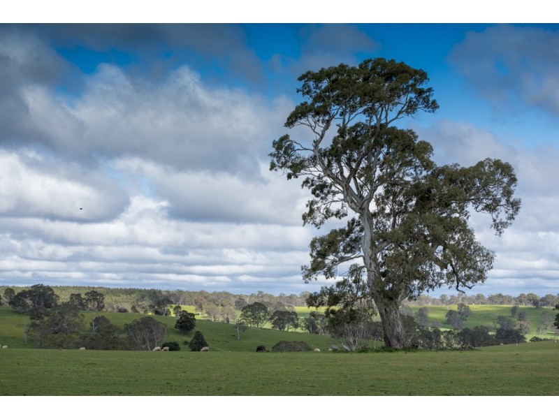 3320 Casterton-Edenhope Road, Chetwynd VIC 3312