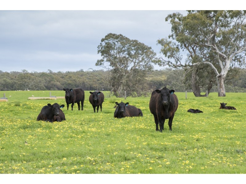 3320 Casterton-Edenhope Road, Chetwynd VIC 3312