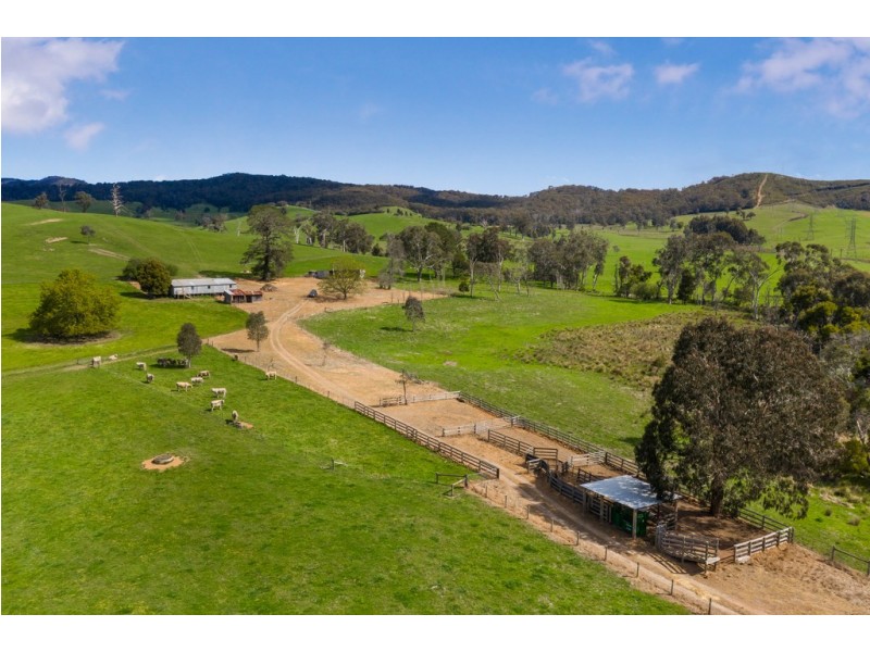88 Wilhelmina Falls Road, Murrindindi VIC 3717