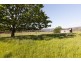88 Wilhelmina Falls Road, Murrindindi VIC 3717