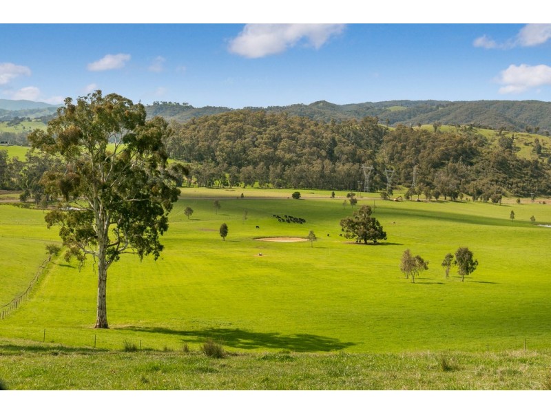 88 Wilhelmina Falls Road, Murrindindi VIC 3717