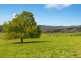 88 Wilhelmina Falls Road, Murrindindi VIC 3717
