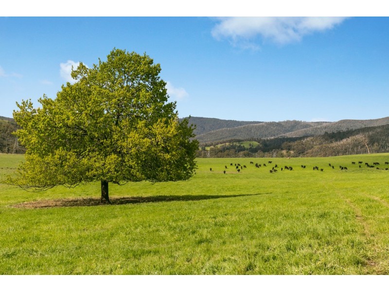 88 Wilhelmina Falls Road, Murrindindi VIC 3717