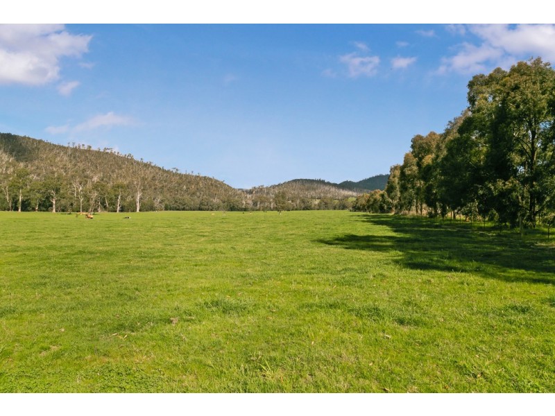 88 Wilhelmina Falls Road, Murrindindi VIC 3717