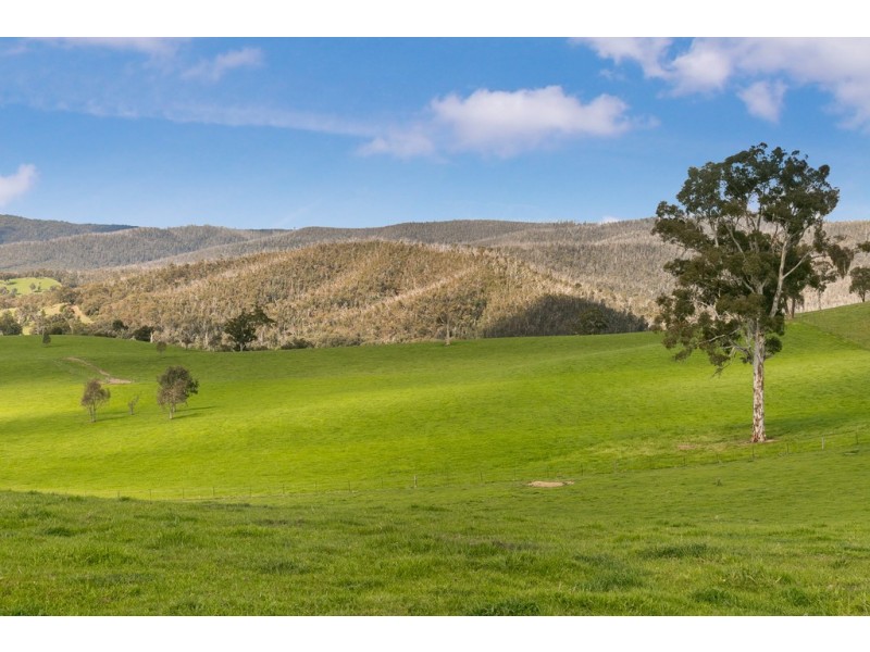 88 Wilhelmina Falls Road, Murrindindi VIC 3717