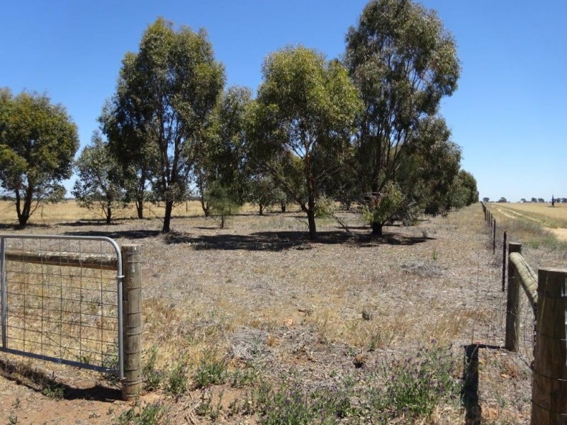 . Womboota Siding Road, Moama NSW 2731