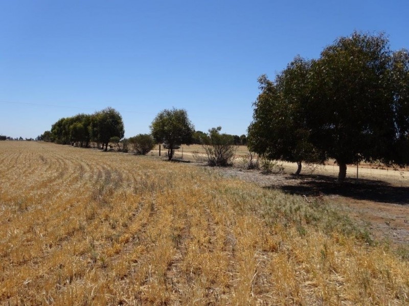 . Womboota Siding Road, Moama NSW 2731