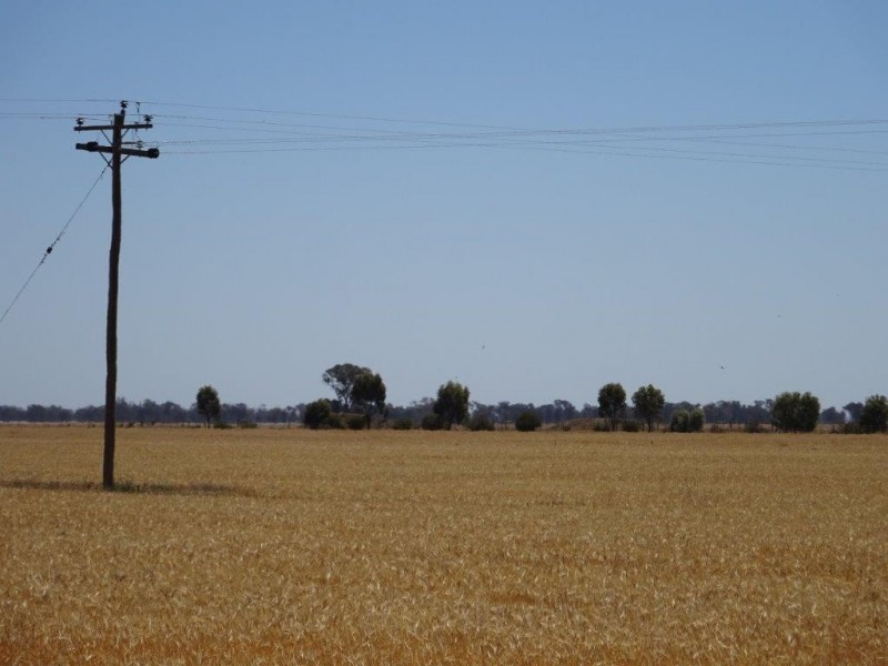 . Womboota Siding Road, Moama NSW 2731