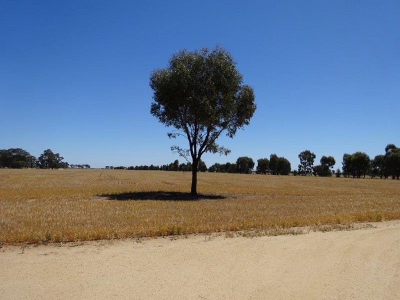 . Womboota Siding Road, Moama NSW 2731