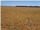 . Womboota Siding Road, Moama NSW 2731