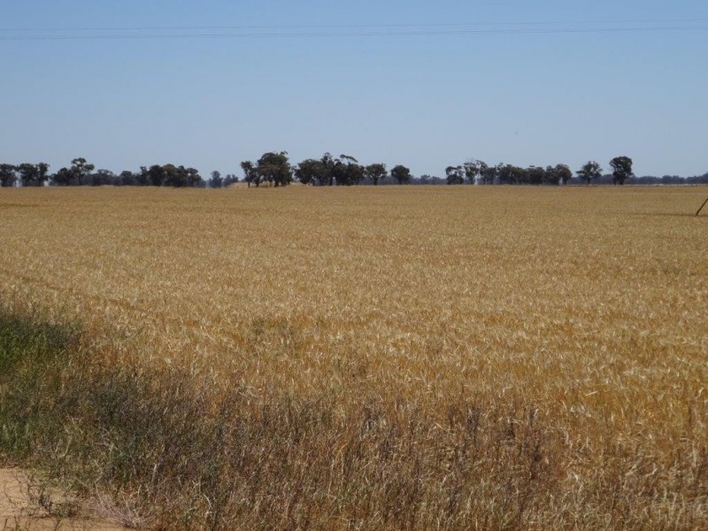 . Womboota Siding Road, Moama NSW 2731