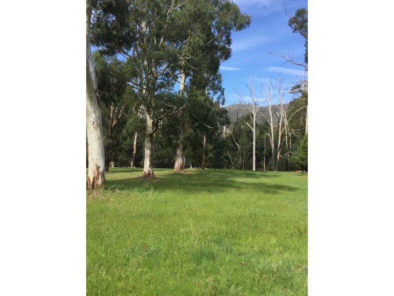 253 Wilhelmina Falls Road, Murrindindi VIC 3717