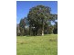 253 Wilhelmina Falls Road, Murrindindi VIC 3717