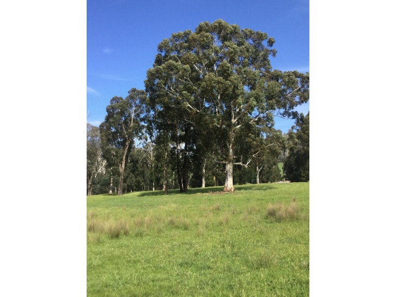 253 Wilhelmina Falls Road, Murrindindi VIC 3717