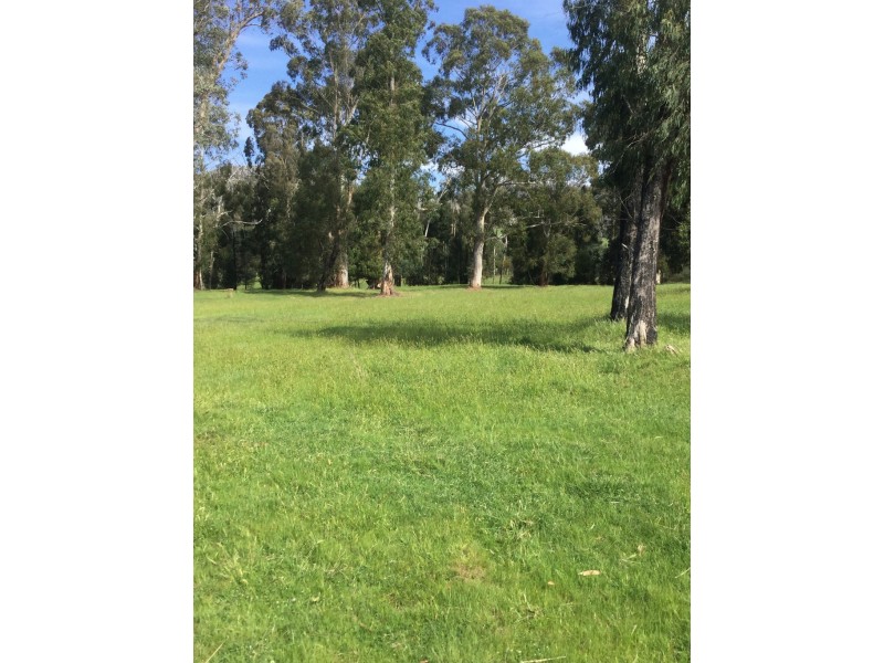 253 Wilhelmina Falls Road, Murrindindi VIC 3717