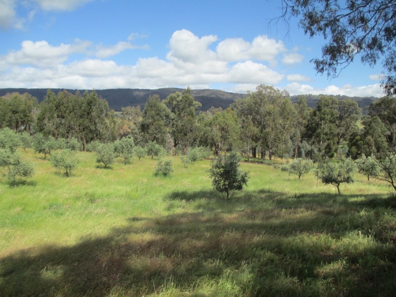 978 Yarck Road, Gobur VIC 3719