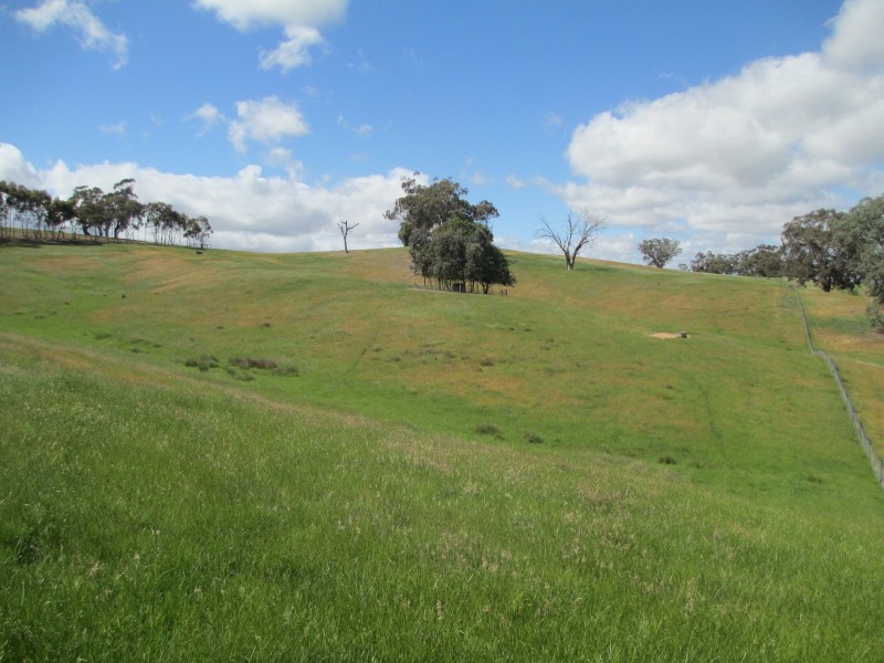 978 Yarck Road, Gobur VIC 3719