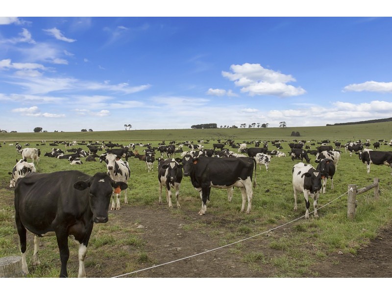 421 Keayang Road, Dixie VIC 3265