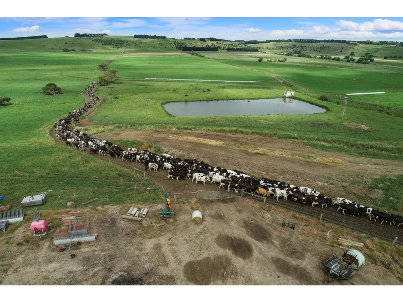 421 Keayang Road, Dixie VIC 3265