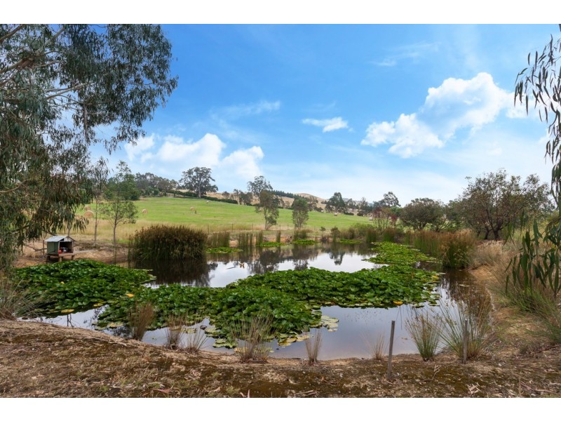 2548 Broadford Flowerdale Road, Strath Creek VIC 3658