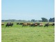 44 Spinks Road, Koroit VIC 3282