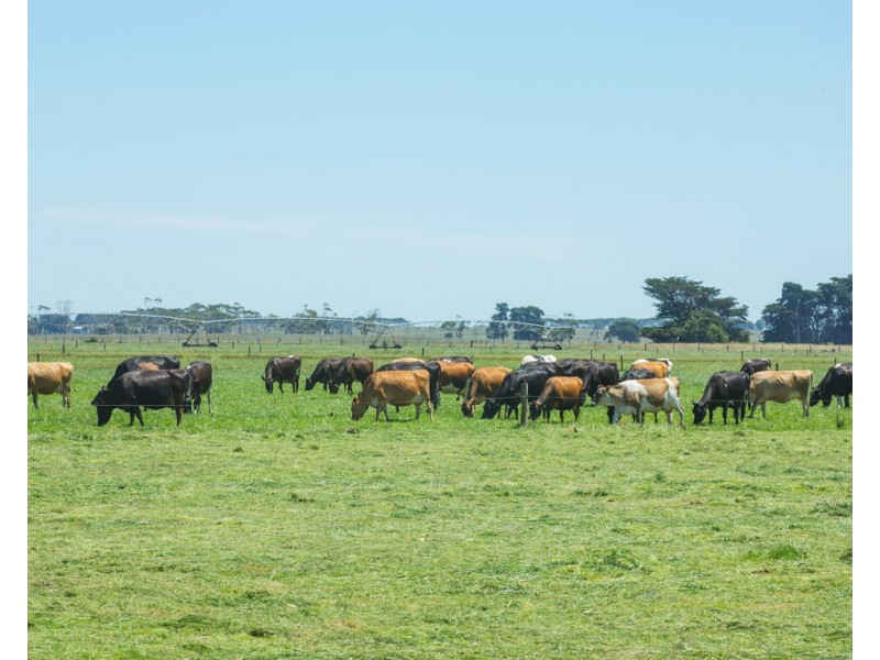 44 Spinks Road, Koroit VIC 3282