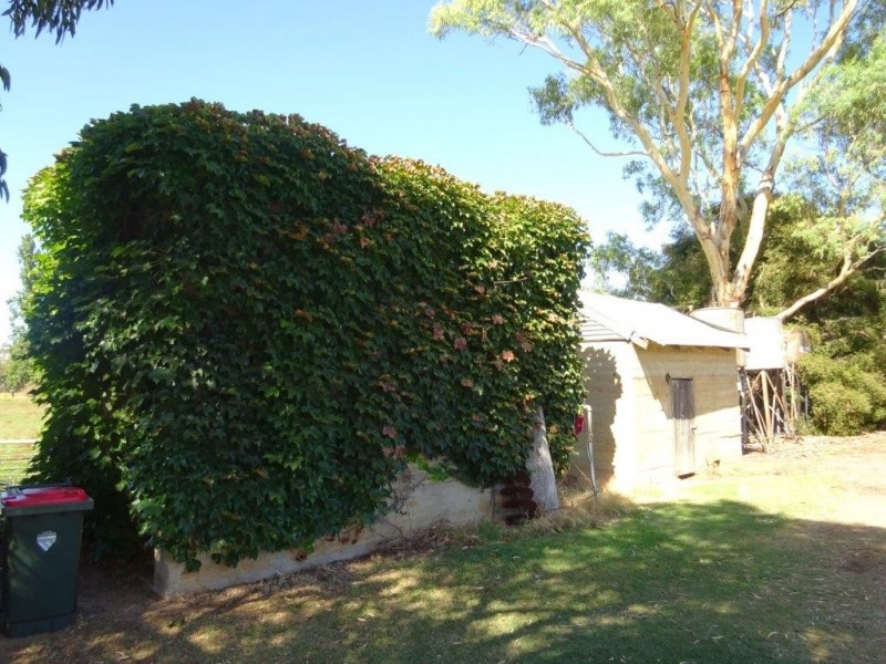 63 Brentnall Lane, Lockington VIC 3563