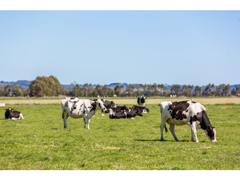 30 North Yannathan Road, Catani VIC 3981