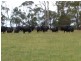 212 Coulahans Road, Panmure VIC 3265