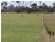 212 Coulahans Road, Panmure VIC 3265