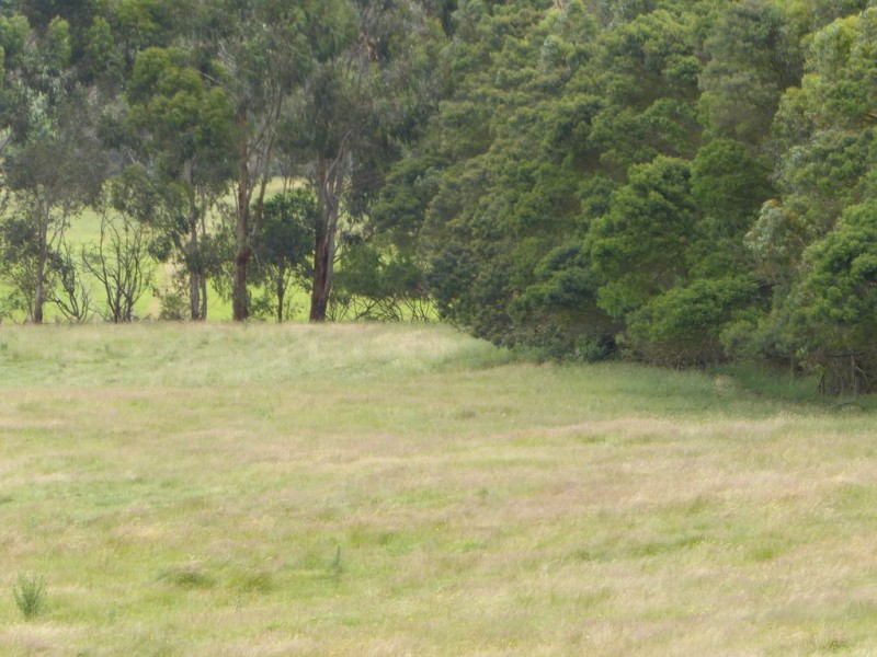 212 Coulahans Road, Panmure VIC 3265