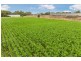Lot 84 James Road, Finley NSW 2713