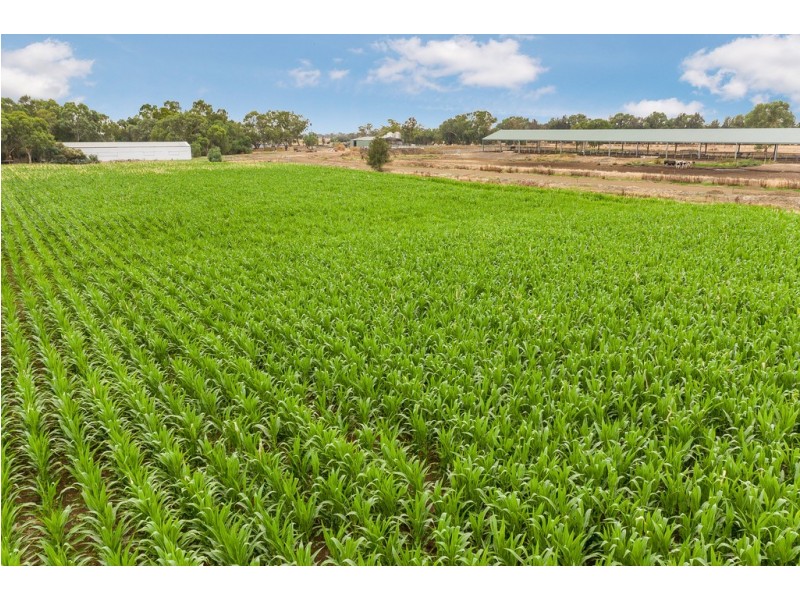 Lot 84 James Road, Finley NSW 2713