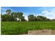 Lot 84 James Road, Finley NSW 2713