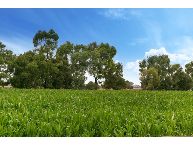 Lot 84 James Road, Finley NSW 2713