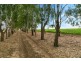 Lot 84 James Road, Finley NSW 2713