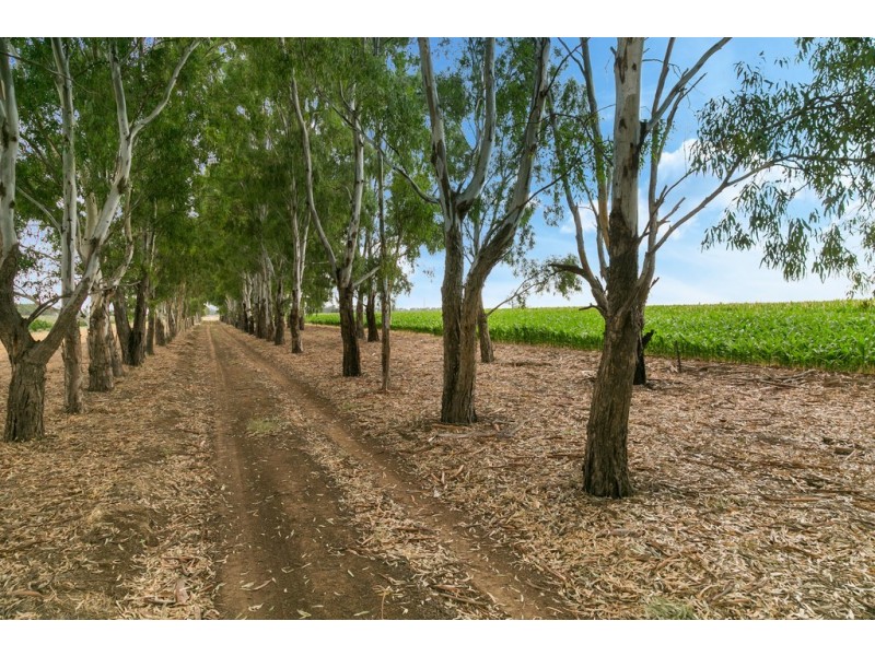 Lot 84 James Road, Finley NSW 2713