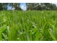 Lot 84 James Road, Finley NSW 2713