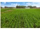 Lot 84 James Road, Finley NSW 2713