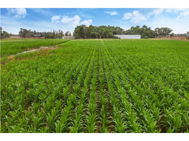 Lot 84 James Road, Finley NSW 2713