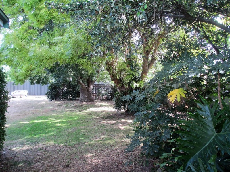 22 Coster St, Alexandra VIC 3714